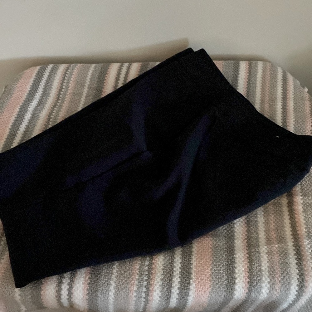 COPY - Ann Taylor pants